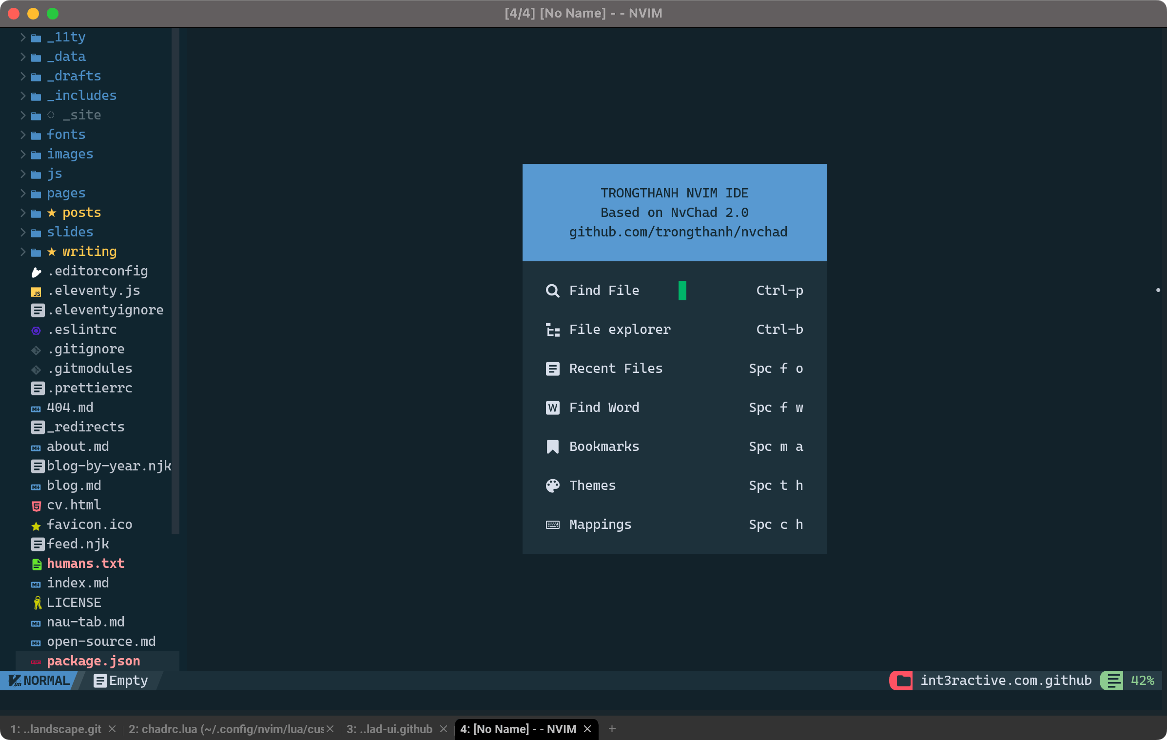 screenshot of my Neovim with custom NVChad config