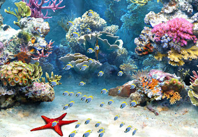 Fish boid in 3D screenshot